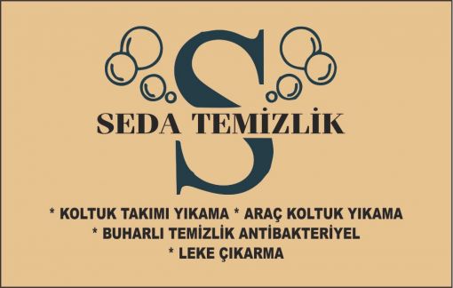 koltuk yıkama adana